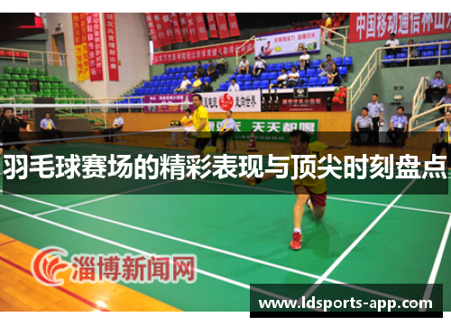 羽毛球赛场的精彩表现与顶尖时刻盘点